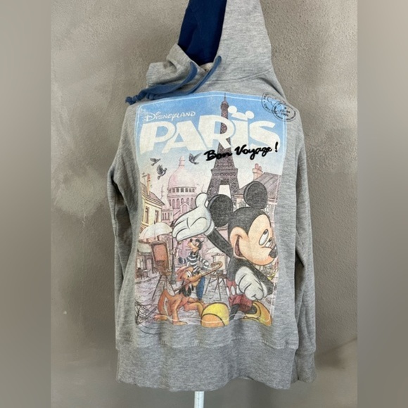 90s vintage Disney Paris collectible hoodie - Picture 1 of 6